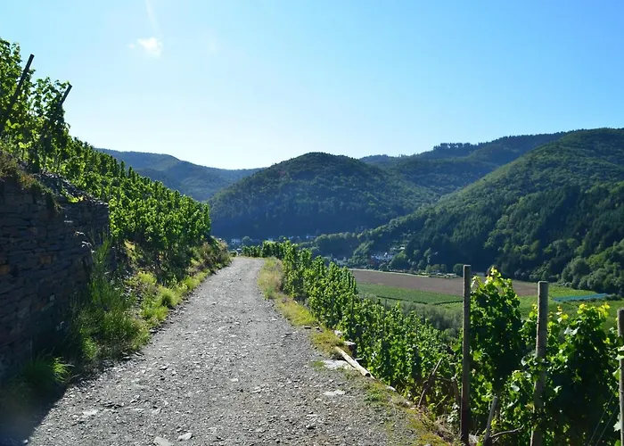 Jagdhaus - Ahr イン