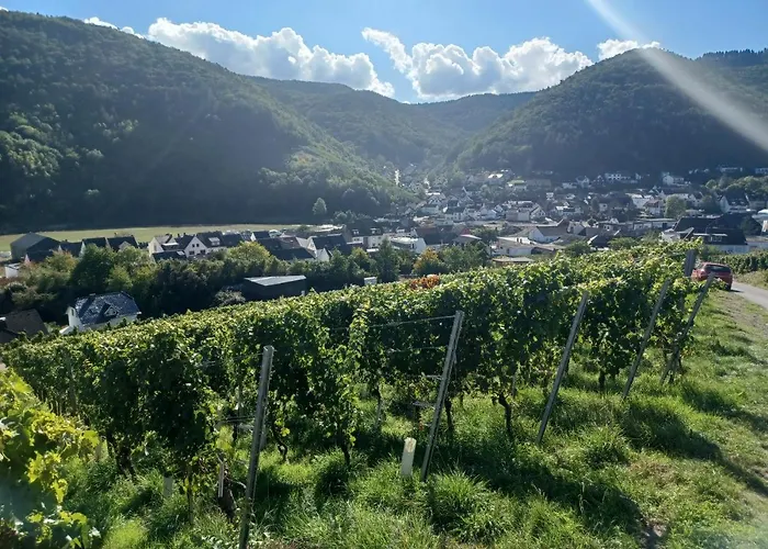 イン Jagdhaus - Ahr *