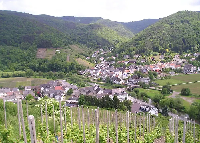 イン Jagdhaus - Ahr レッヒ