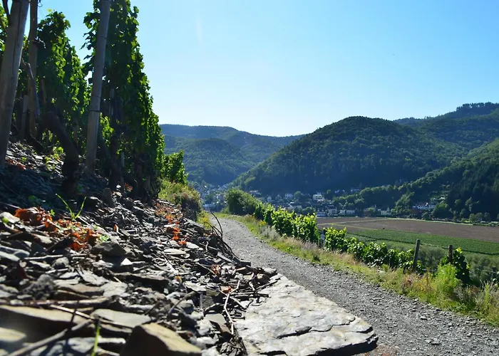 Jagdhaus - Ahr イン *