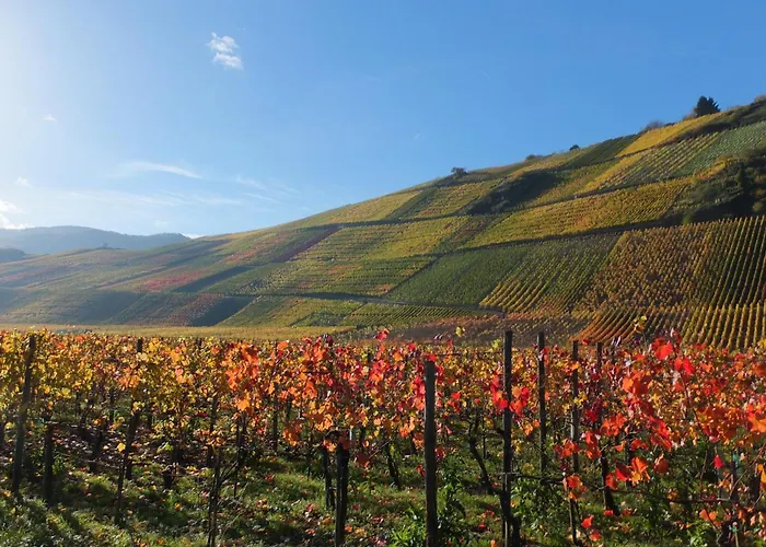 Jagdhaus - Ahr レッヒ