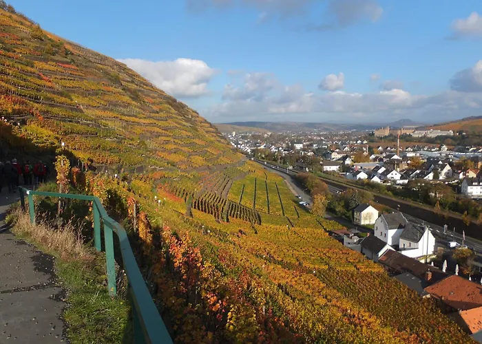 Jagdhaus - Ahr イン *